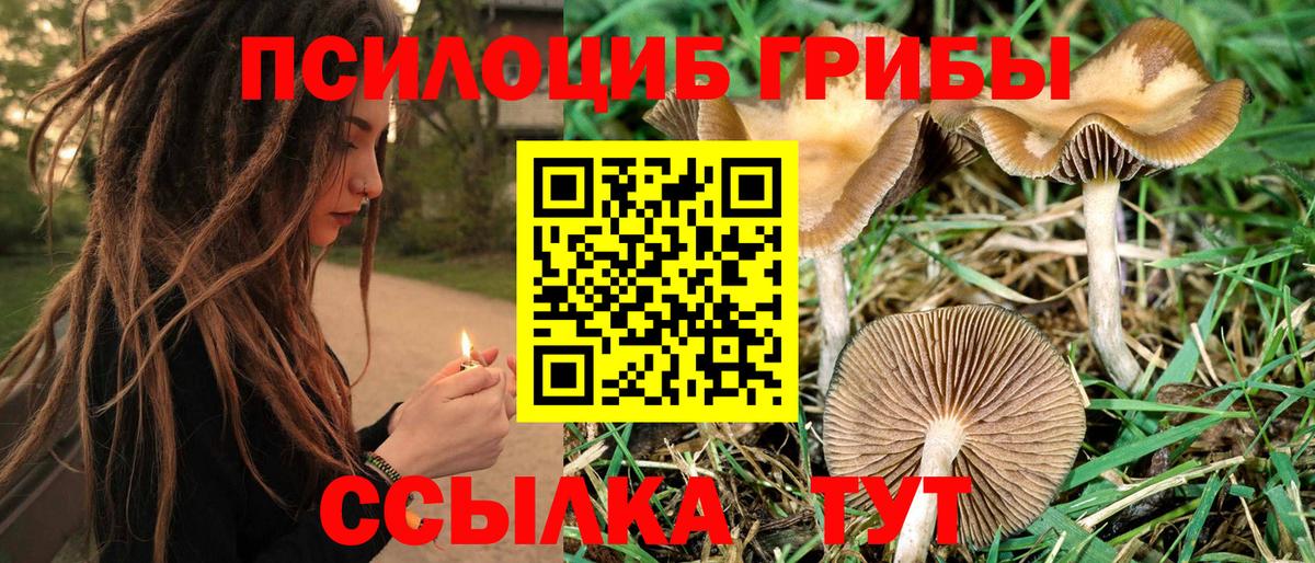 Галлюциногенные грибы Psilocybe  Галлюциногенные грибы ЛСД  Зерноград  Вход с VPN 