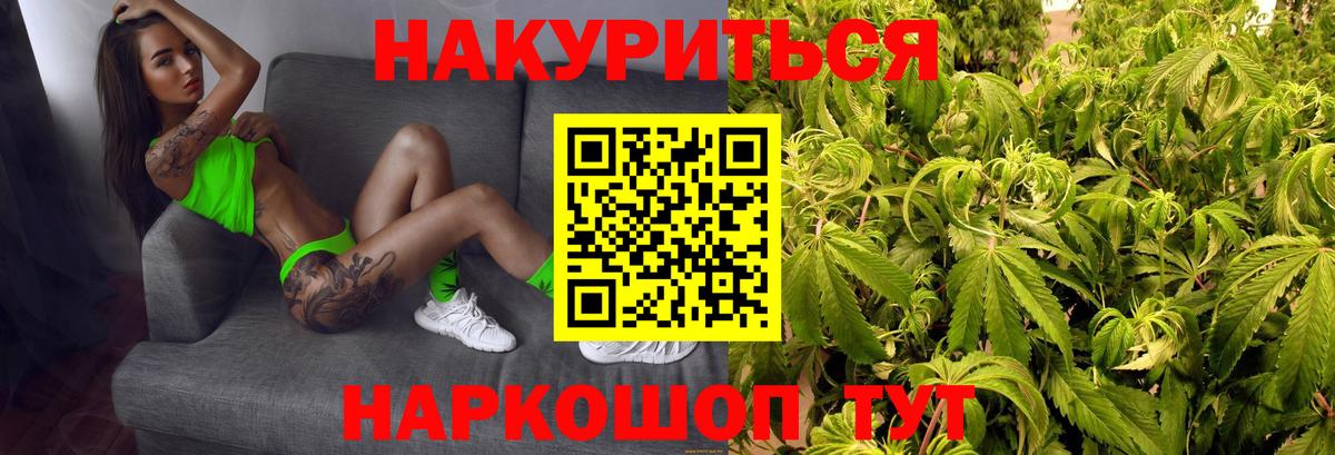 Марихуана ГИДРОПОН  Вход с VPN  Зерноград  Каннабис сатива 
