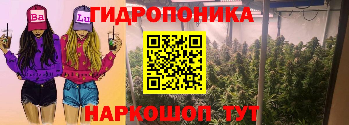 Шишки марихуана OG Kush Зерноград